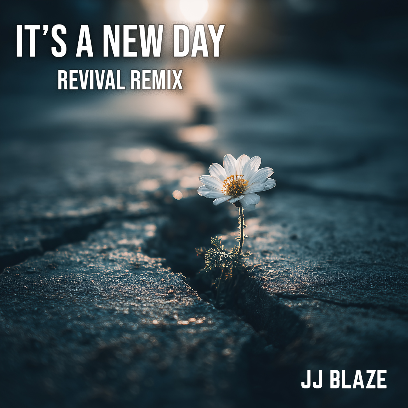 It's A New Day (Revival Mix)